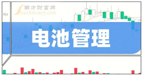 電池管理技術(shù)服務(wù)龍頭盤點(diǎn)與2026年展望